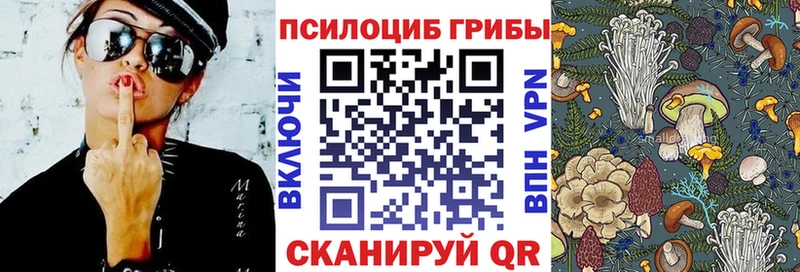 блэк спрут tor  Анжеро-Судженск  Галлюциногенные грибы Magic Shrooms 